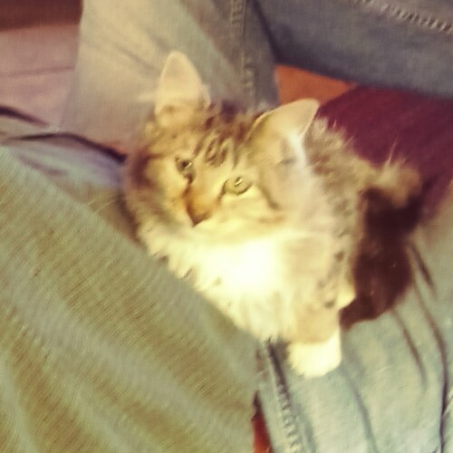 Unvaxxed and trying to stay that way...