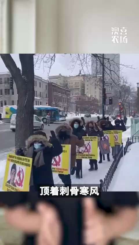 新中国联邦📍加拿大🇨🇦蒙特利尔
抗议CCP间谍杨健翱惩贼行动🔥
战友们汇聚在一起，不畏严寒，每天坚持列队整齐在惩贼现场。 “念念不忘必有回响” 行动！行动！行动！💪🏻💪🏻💪🏻   ...