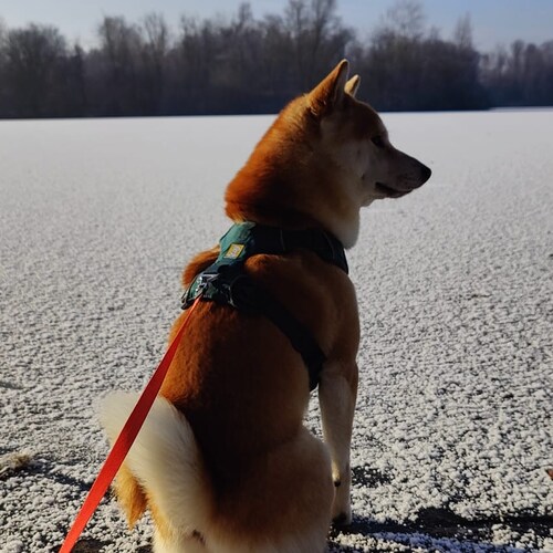 Teacher - trainer - choreograaf - mother- grandmother - freedomfighter- totally awake!!!!