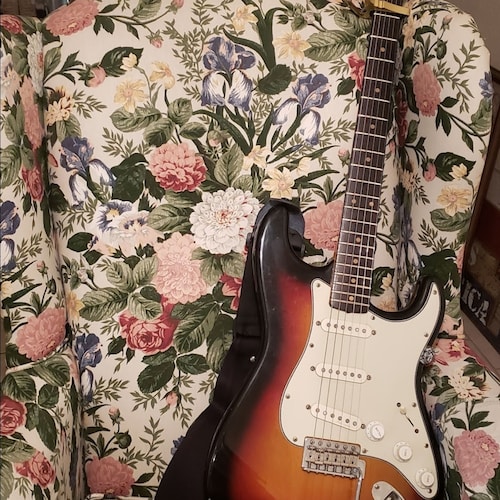 #cancersux I know there's a cure
DOB'52 ...Darling Brothers Band"So Many (RIP Danny)Roads"DJT WON🍊BIGTIME❗ 🍊 🇺🇸 R&B & a '74 Stratocaster🎸 🍊🎤 💯👈#tucker