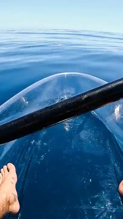 Does anyone know what this is?
What is it?