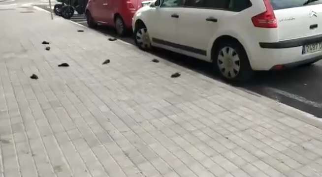 On a street in Barcelona that has 5G towers everywhere