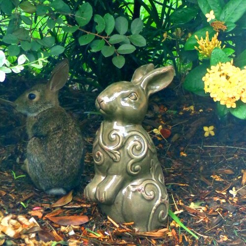 Wife, Mom, Gram, MAGA Patriot, Garden Enthusiast... Let's Grow...no DMs please