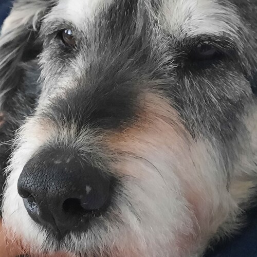 Visit kayamaxi's profile on GETTR. View their posts, photos, videos, and connect with them on the social platform.