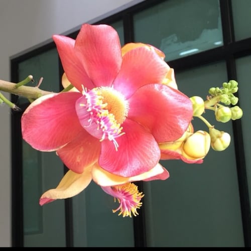 Visit Candysk's profile on GETTR. View their posts, photos, videos, and connect with them on the social platform.