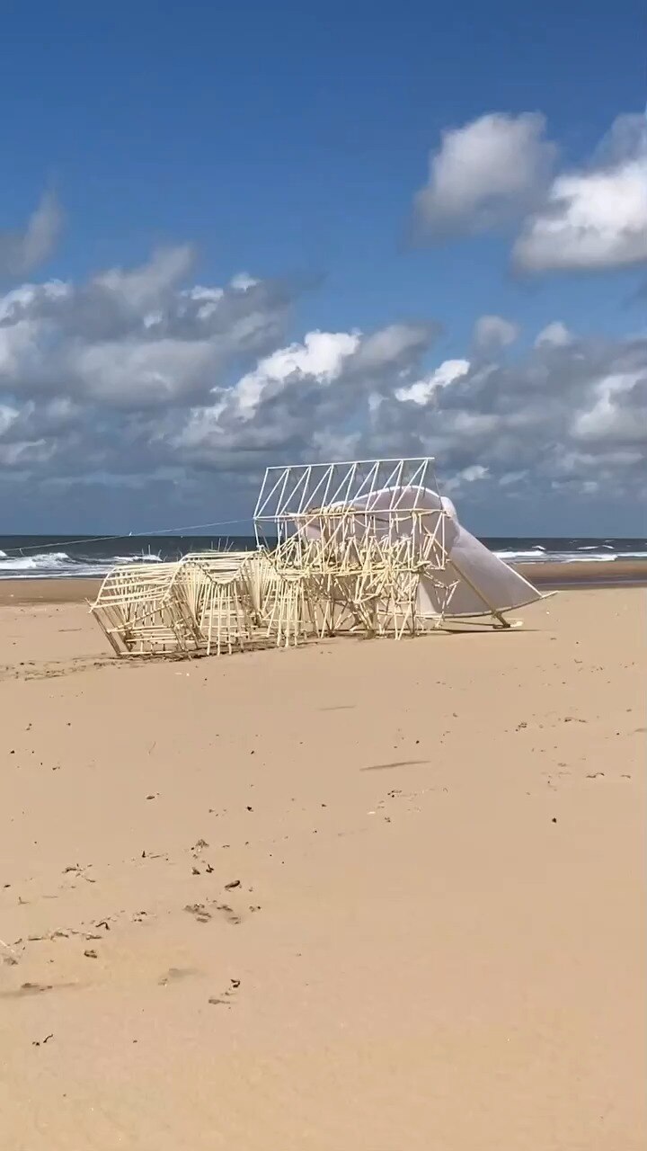 Caterpillar pulled by Strandbeest, 2022.

#strandbeest #strandbeests #theojansen #beachanimal #beach...