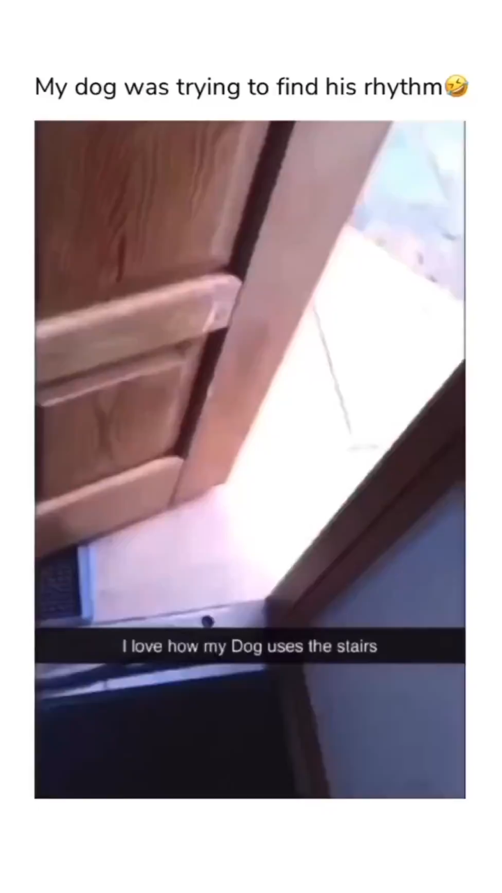 View ☦️🦁⚔ 🆃🆁🅴🅱 ⚔🩸's post on GETTR. Join the discussion, share your thoughts, and connect with the community.