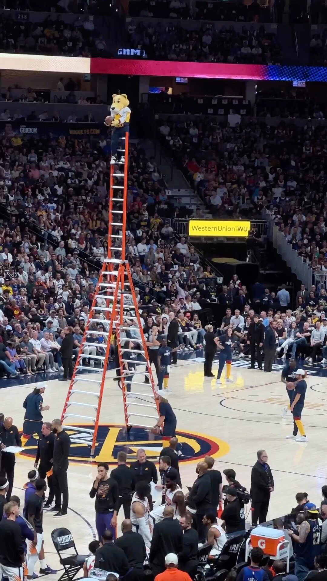 View 粤西's post on GETTR. Join the discussion, share your thoughts, and connect with the community.