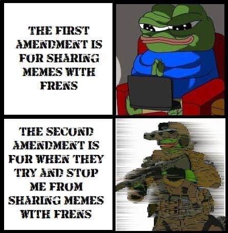 Explaining Constitutional Amendments 🐸☕ #theconstitution #1stamendment #2ndamendment #1a #2a #freedom #pepe #memes #humor