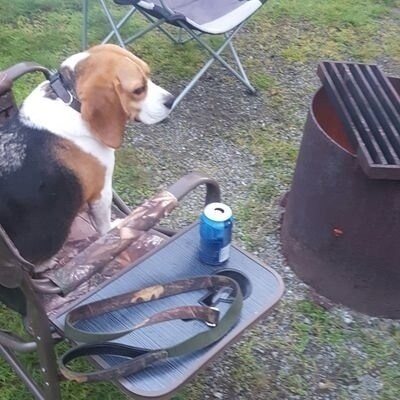 Canadian. The biggest threat to government is those who question the government. 一次一个字🇺🇸🇨🇦🇷🇺We should try to get a...