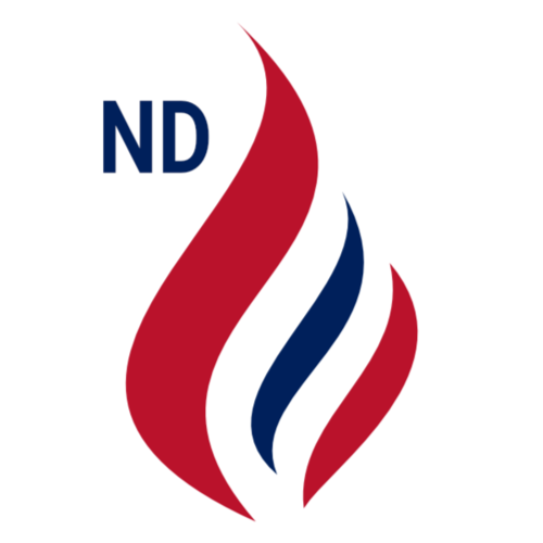 Et nasjonalkonservativt parti for folk flest. Vi ønsker å prioritere norske borgere og ta vare på vår fantastiske kultur...