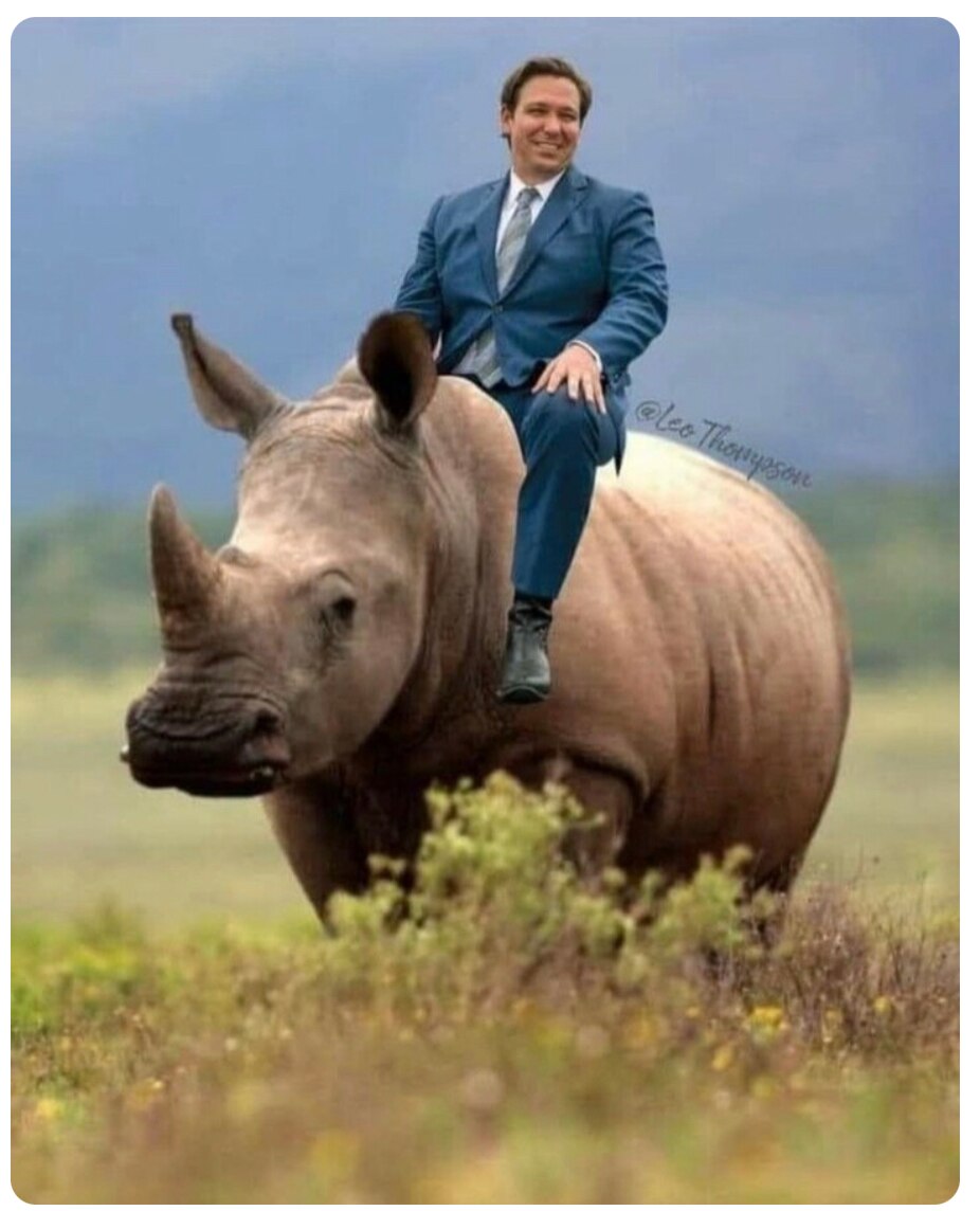 View Luckymee2 🍊's post on GETTR. Join the discussion, share your thoughts, and connect with the community.