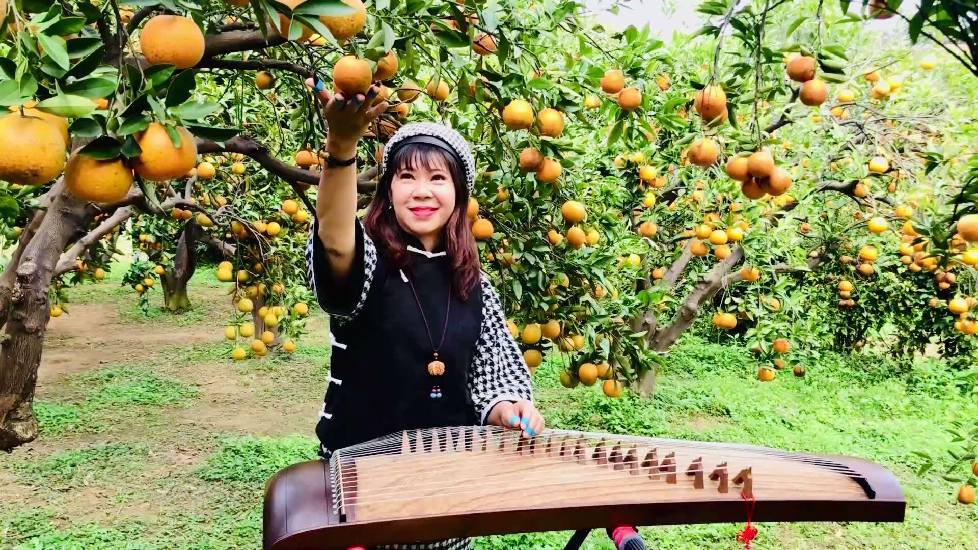 古箏音樂《甜蜜蜜》
#鄧麗君懷念歌曲
演奏：雅雅 