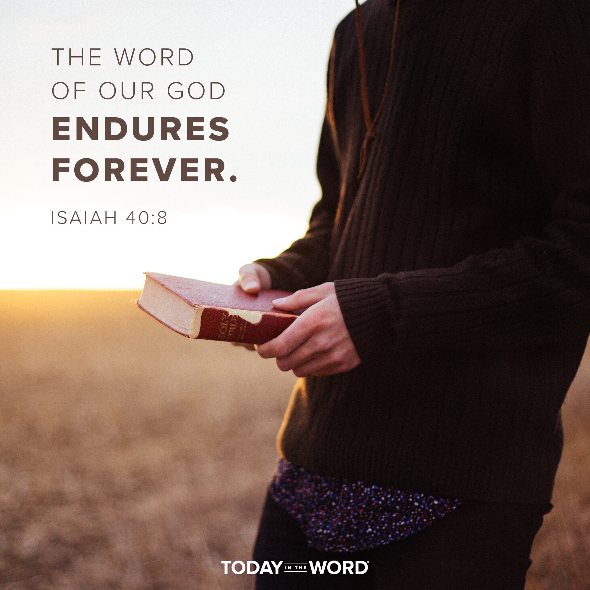 >> Have you ever started the year with a plan to read through the entire Bible? For most of us...