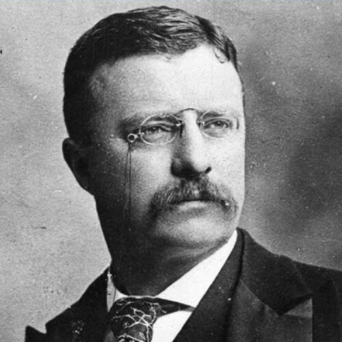 26th President of the United States of America: only person to ever receive both the Congressional Medal of Honor and the Nobel Peace Prize.