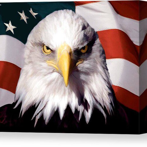 There is nothing can be said that makes one a Patriot. Love of country, abiding in peace, working with their fellow citizens, marks their character as one.