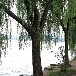 Besuchen Sie gn860603s Profil auf GETTR. Sehen Sie ihre Posts, Fotos, Videos und verbinden Sie sich mit ihnen auf der sozialen Plattform.