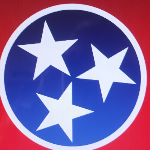 ULTRA MAGA
LOVE MY COUNTRY
SOUTHERN PRIDE
PRO LIFE
RADICAL CATHOLIC
KEEP YOUR FILTHY HANDS OFF OUR KIDS
LIBERTY OR DEATH...