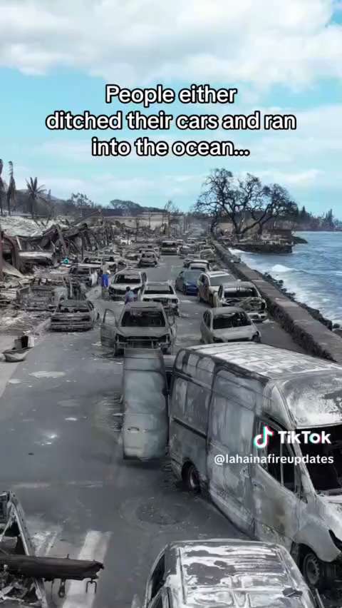 The aftermath in Maui looks like something out of a war zone