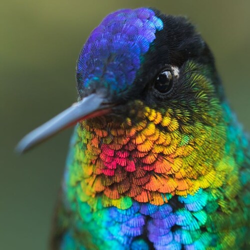 Que la Paix soit avec Vous tous.    L'Heure est à l'Union .   Vive La France .

🌟💙🤍♥️🌟