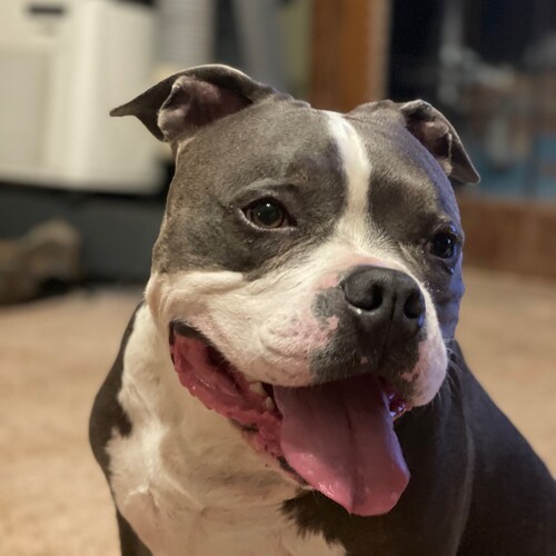 Hope to continue to love the United States And hope rather soon that the rightful people get put into their rightful pla...