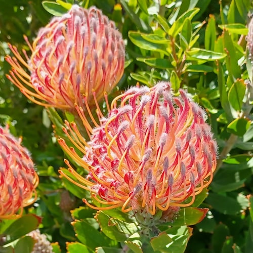 Visit BJB's profile on GETTR. View their posts, photos, videos, and connect with them on the social platform.