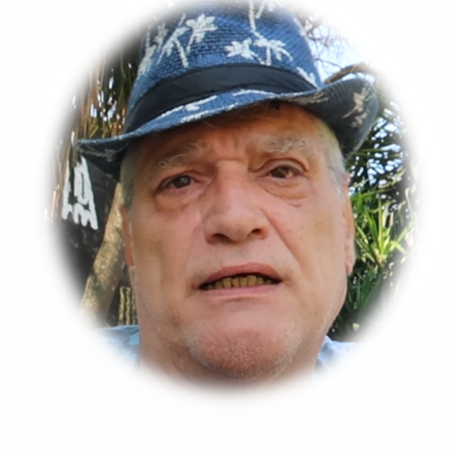 Músico, cadeirante e investidor da bolsa de valores, sou uma pessoa que preza sua liberdade e ama o país em que nasci e ...