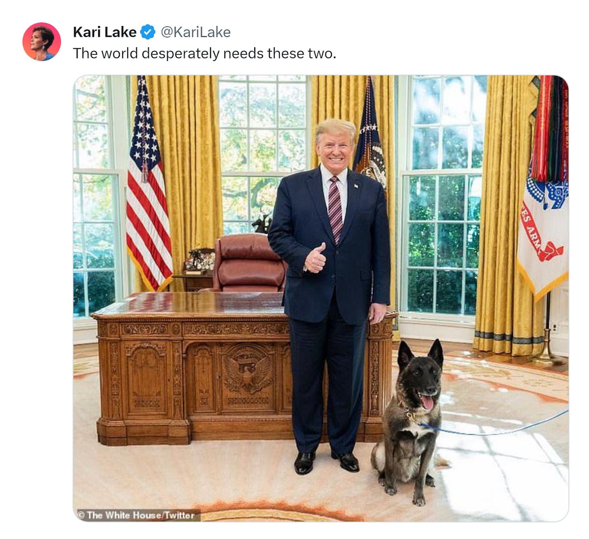 View il Donaldo Trumpo's post on GETTR. Join the discussion, share your thoughts, and connect with the community.