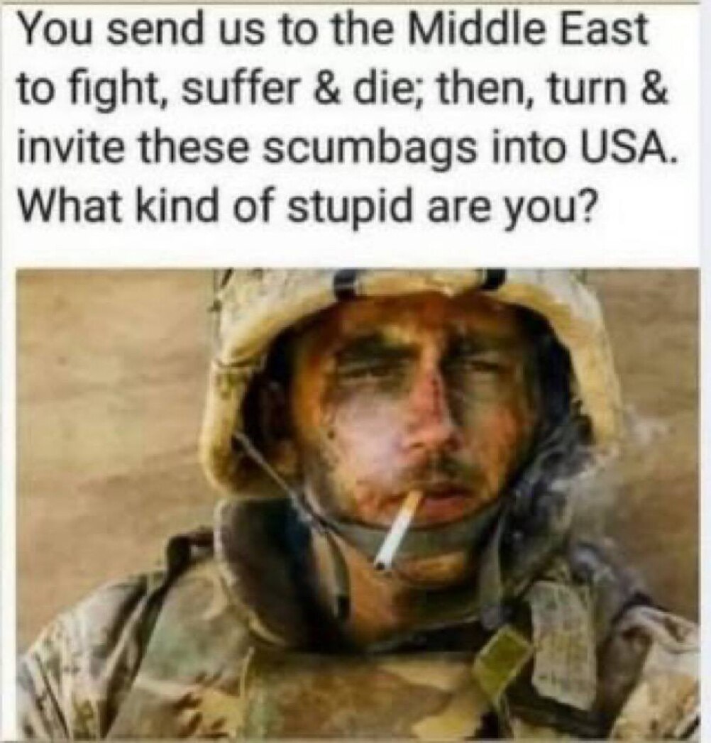 A special kind of “stupid” 

