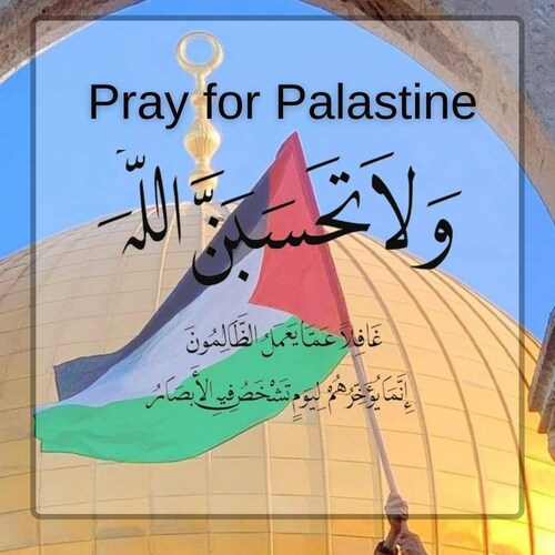 Videos on Palestine 🇵🇸 
#freepalestine
#FreePalestine
#palestine
#Palestine
#palestinians