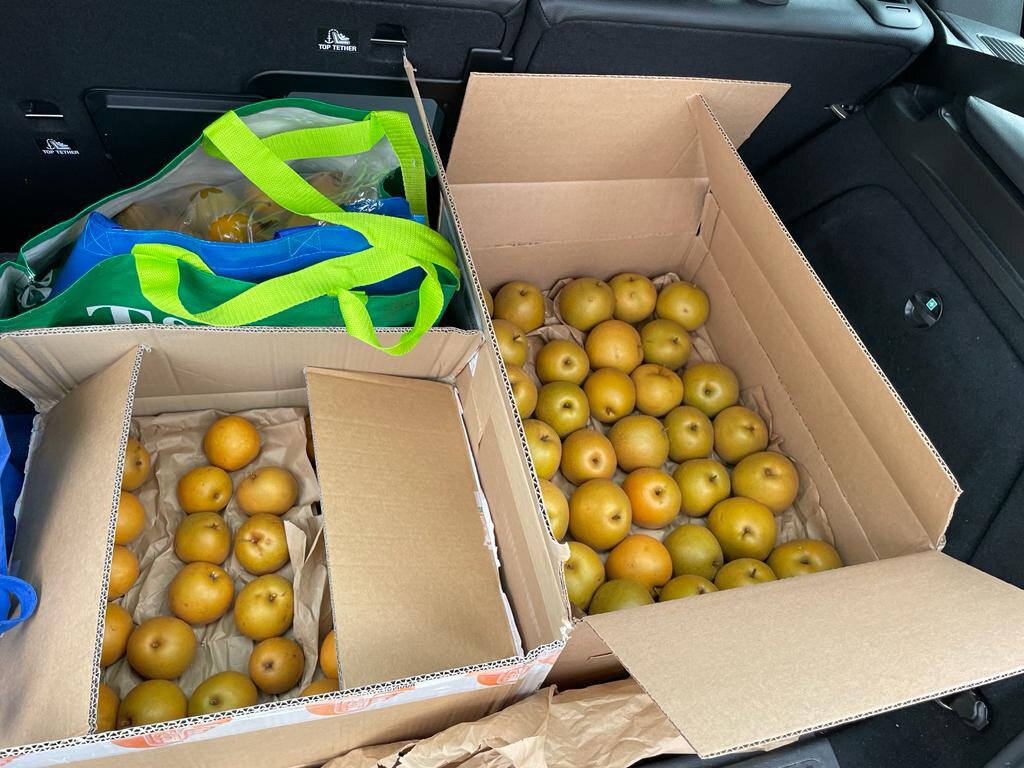 今天订梨子的战友，大多已经拿到梨子啦，味道如何？大家吃完了，给个留言呗？🙏🙏🙏
大家都知道 #喜币 和 #盖特币价值 啊！🤭🤭都要留着增值呢，只想支付贬值的加币呢！咋办😅😅😅😅
#h...