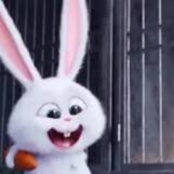 Visit lesstensesucour's profile on GETTR. View their posts, photos, videos, and connect with them on the social platform.