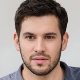 Senior Market Research Expert at The Insight Partners