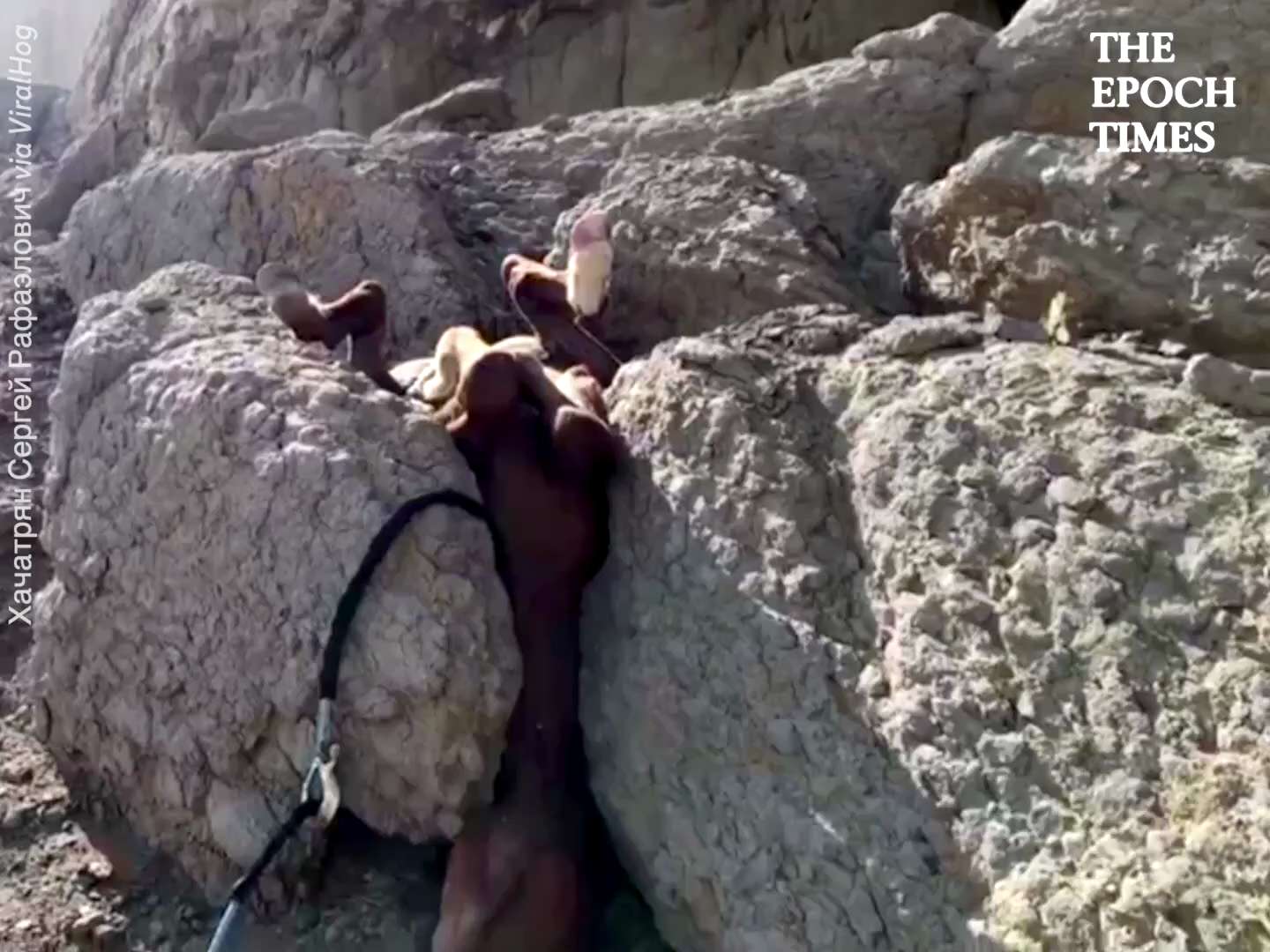 Rescuing Horse Stuck Between Rocks 
Thank you for saving this beautiful animal!    
Credit: ViralHog
