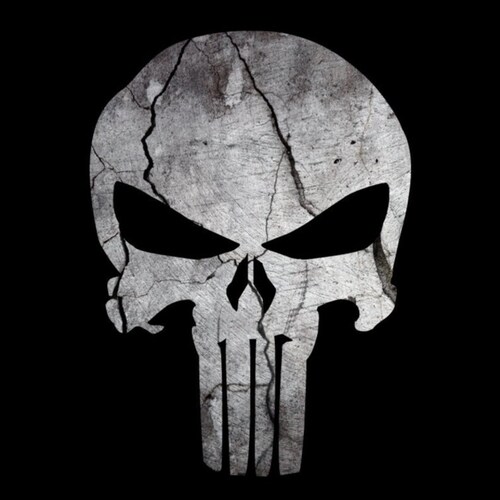 American Patriot 🇺🇸 🍊 | Gamer | Fan of Power & Symphonic Metal Music, Science Fiction, Anime, & Manga | Lover of Pizz...