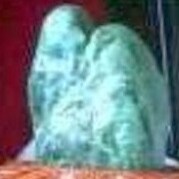 Prophecy fulfilled 
A true walk by TeManawa , 
The age of peace ushered in - Hopi Tablet found - The tablets of the he...