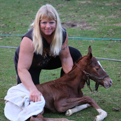 Lifetime race horse breeder, owner, trainer, competitive weight lifter, and Constitutional Conservative activist.