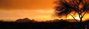 Dwotton