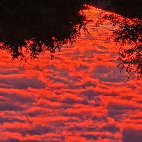 TRUMP is my President