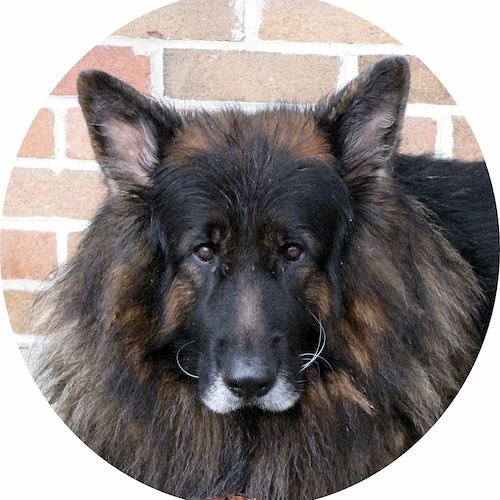 SAVE AMERICA !!!
FREEDOM !!!