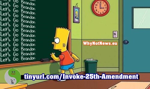 tinyurl.com/Invoke-25th-Amendment