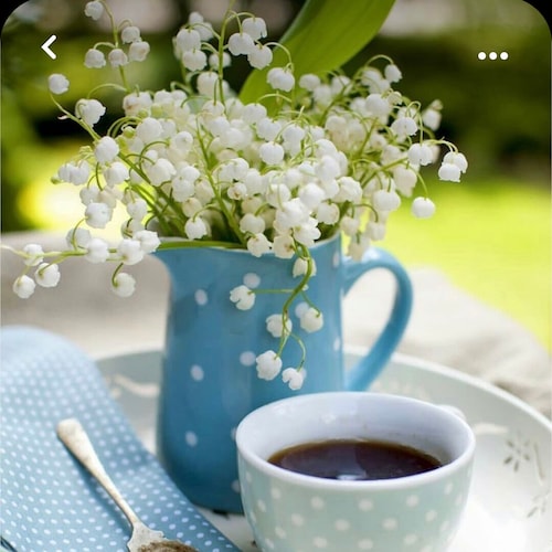 中    共 🟰邪恶、独裁、霸权
   消灭中共🟰消灭邪恶、独裁、霸权
灭共事业是“1”，其他的都是“0”
MilesGuo 案件庭审文件 https://nfsc.press/2024/08/25/criminal-court-cas...