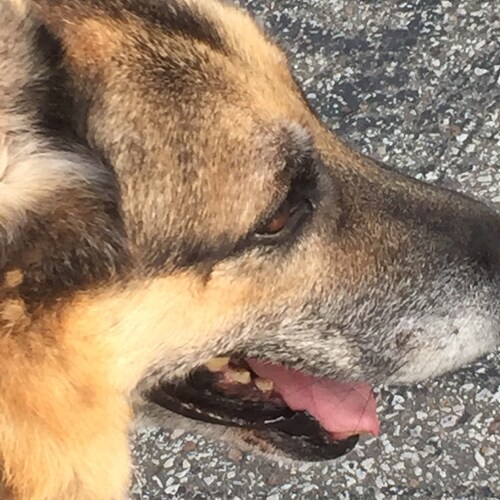 Life is good: My county has no freeways and I have no liberal friends.