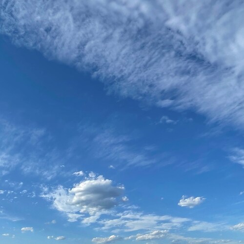 Let's follow Miles Guo together！Take down the CCP!!!