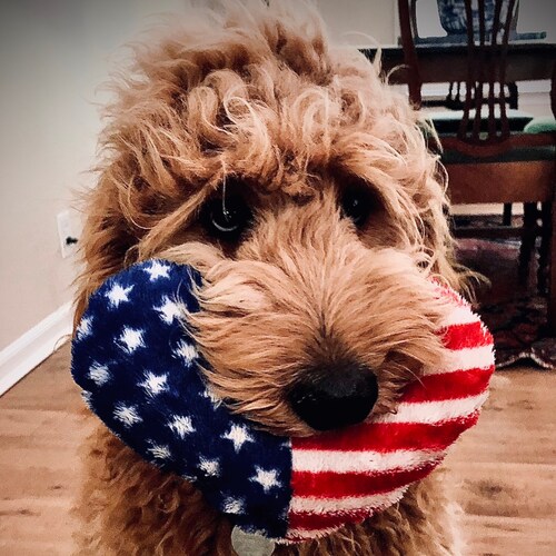 Freedom is the right to question and change the established way of doing things. – Ronald Reagan. Freedom for All 🇺🇸