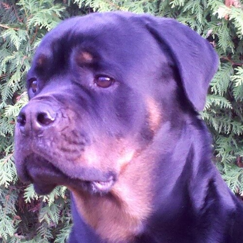 Unapologetically American🇺🇸