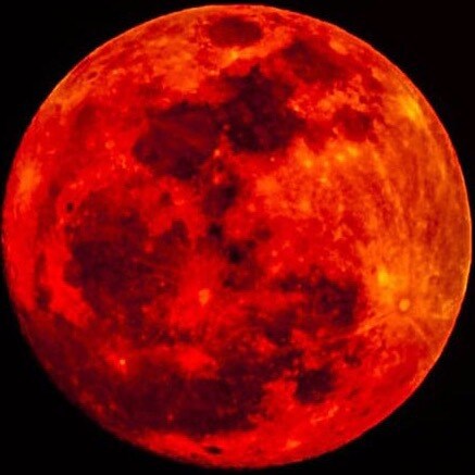 🇺🇸🧂🍊'LET’S GO BRANDON’🍊🧂🇺🇸 #SaltyArmy  #UltraMAGA #2A #BillofRights #Constitution #FJB #TrumpWon