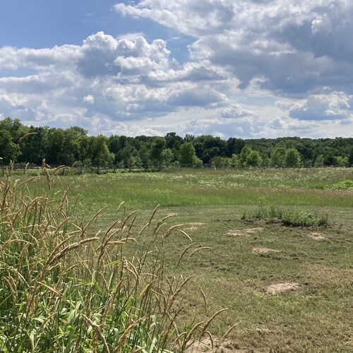 live in Minneapolis 3 kids and a democrat wife. please help 😂😂😂. I should run for office. stand for something or noth...