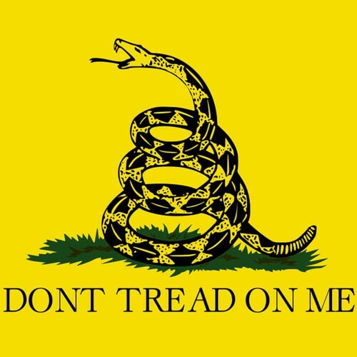 🇺🇲 American 🐘 Republican 🐍Libertarian 📜 Pro Amendment 💲 Capitalist 💬 Free Speech 🏛 Small Goverment 🔫 Pro Gun ✝️...