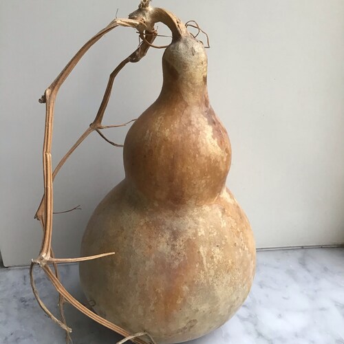 Visit 七个葫芦娃🔥🔥🔥's profile on GETTR. View their posts, photos, videos, and connect with them on the social platform.